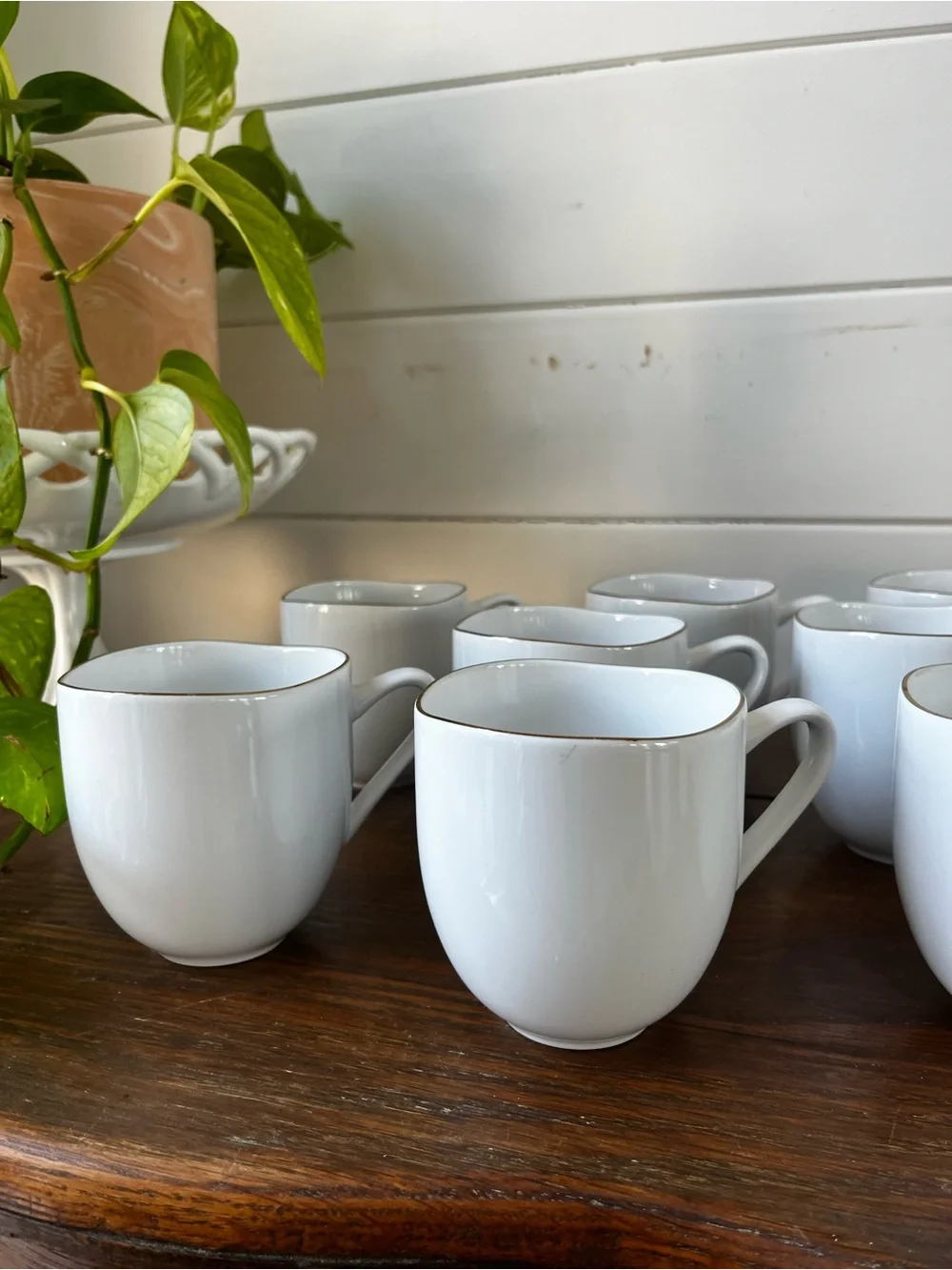 West Elm Organic white Porcelain Gold-Rimmed Mugs set of 8
